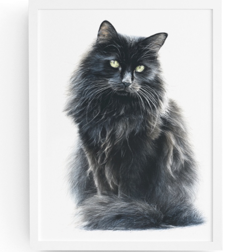 Watercolor Siberian Black Cat Art Print Illustartion - Pet Portrait - Unframed
